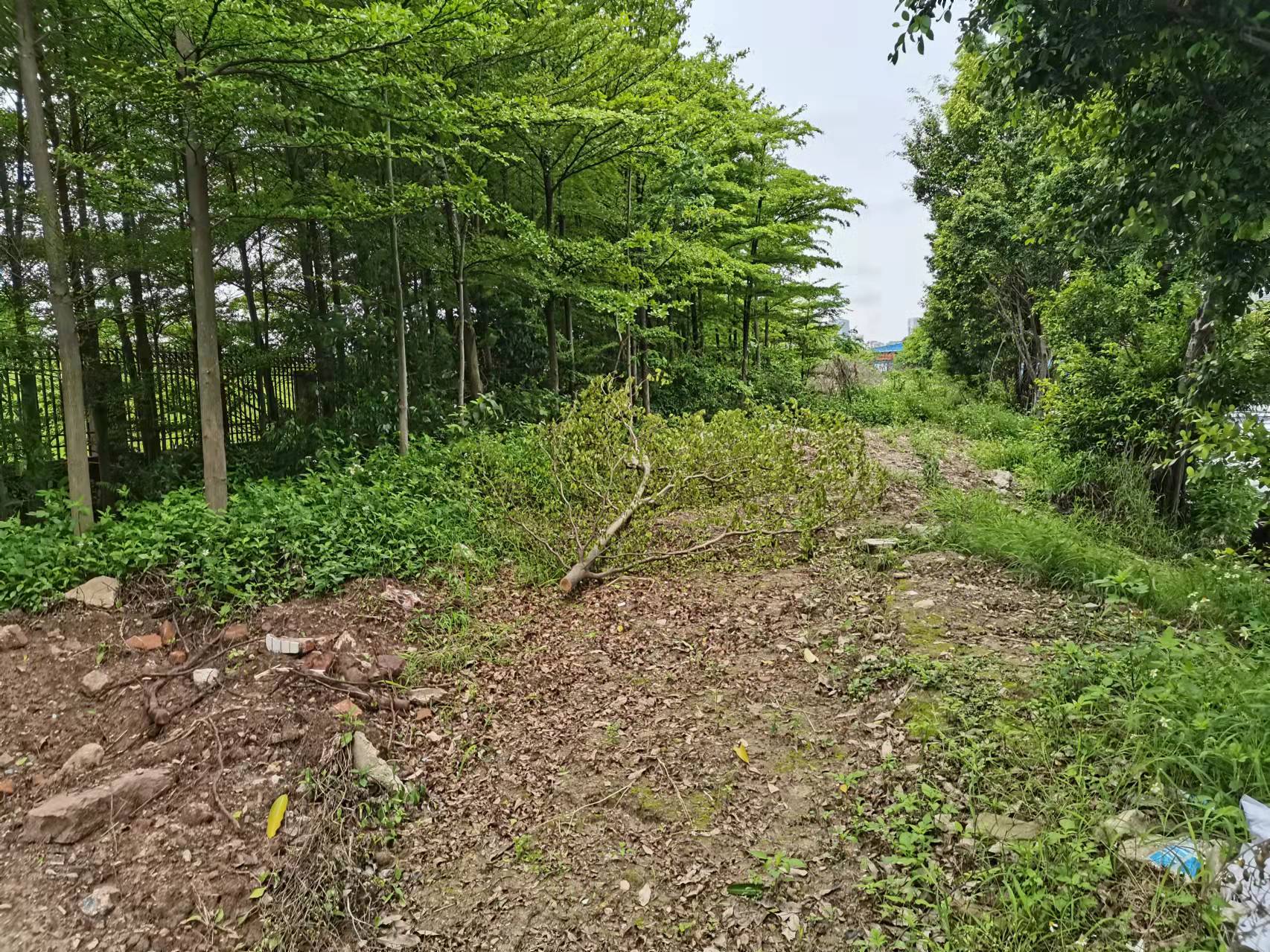 佛山市康盈投资治理有限公司地块出租评估